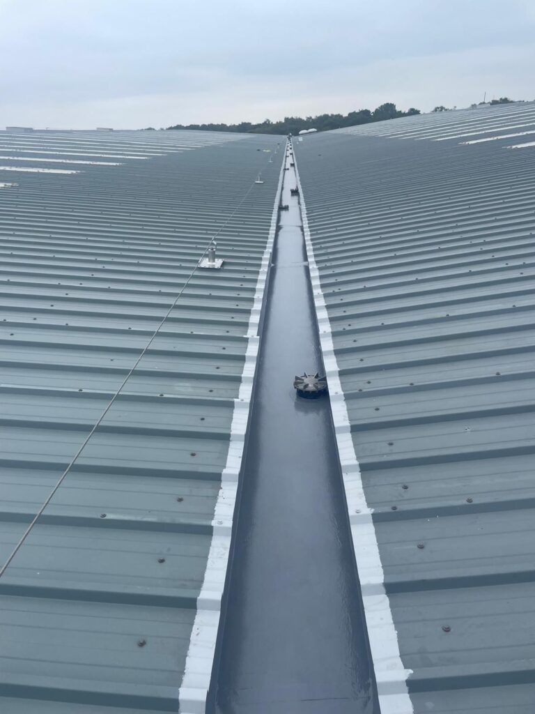 Commercial Building Sprayer In Devon
